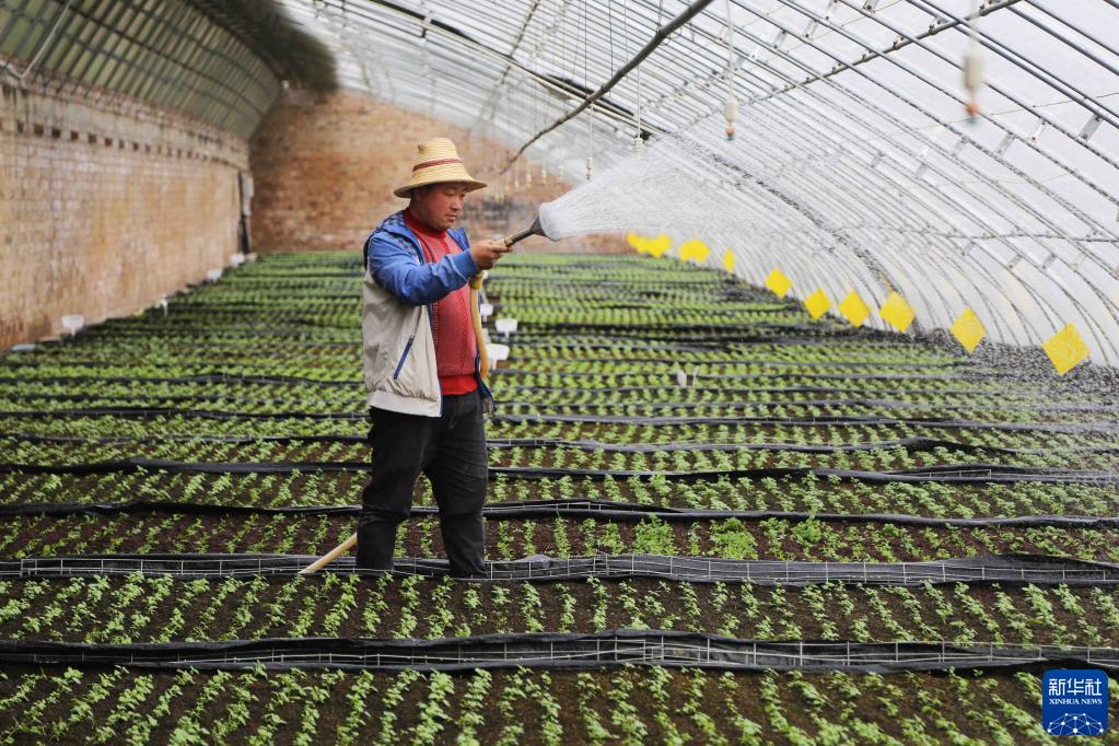 陇原大地春耕忙