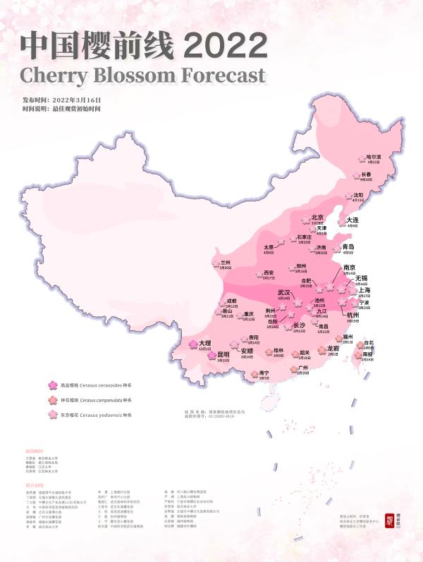 《中国樱前线2022》樱花花势及“国内樱花赏花带”图表   本文图均由受访者供图