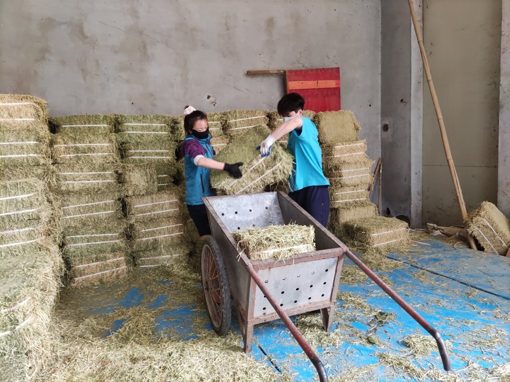 上海動物園備足口糧飼養員獸醫將陪伴毛孩子度過封控時期