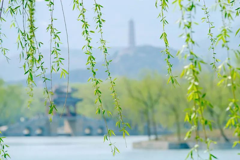 来源:视觉中国