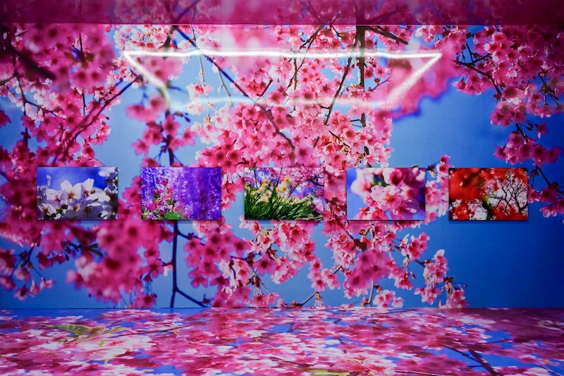 蜷川实花展现场