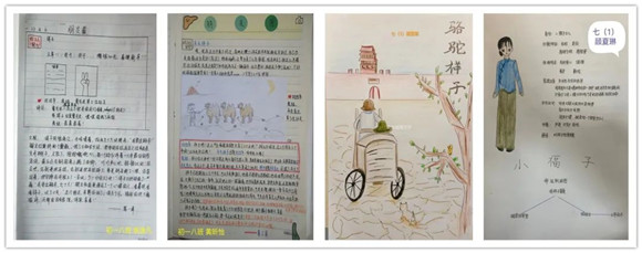 WDCM上传图片 WDCM上传图片