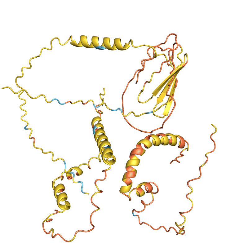 蛋白质“幻觉”的四个例子。在每种情况下，AlphaFold都会显示一个随机氨基酸序列，预测结构并更改序列，直到软件有把握地预测它将折叠成具有明确3D形状的蛋白质。颜色显示预测置信度（从红色表示非常低的置信度，通过黄色和浅蓝色到深蓝色表示非常高的置信度）。