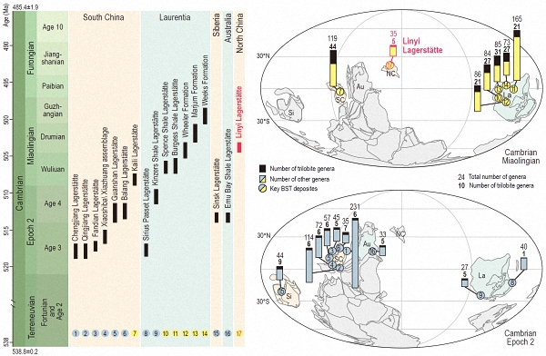 16个主要的寒武纪特异埋藏化石库的时空分布和多样性，及临沂动物群（Linyi Lagerstätte）在其中的位置。