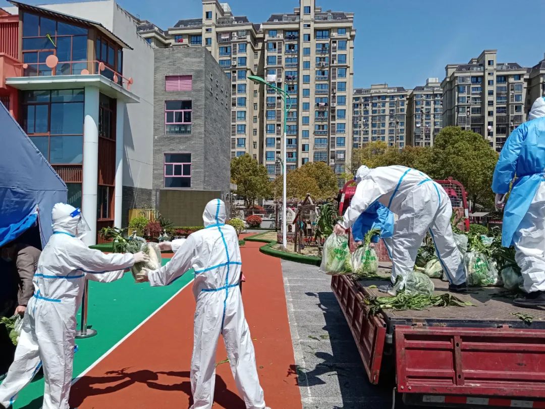 奉贤这个小区里的预备党员主动请缨争当抗疫志愿者