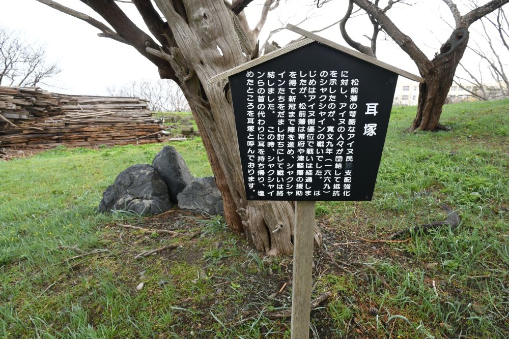 国际观察｜北海道开发背后的阿伊努人血泪史