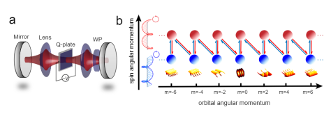 实验装置与理论模型示意图，a为简并光学谐振腔，b为人工合成光子轨道角动量晶格，图片来自中科大