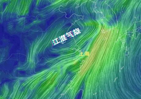 注意！明天上海有大到暴雨