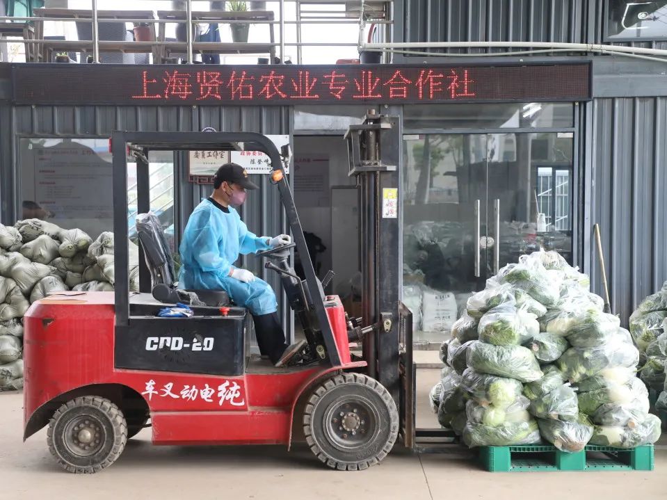 保供套餐从田头到你手里，从下单到收货，原来要过这么多关！