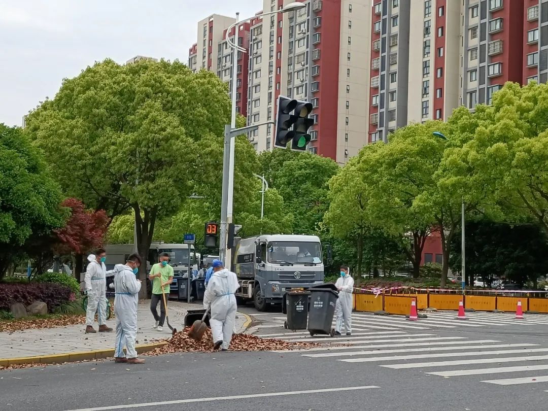 暴雨将至，嘉定各街镇开展落叶清理工作！