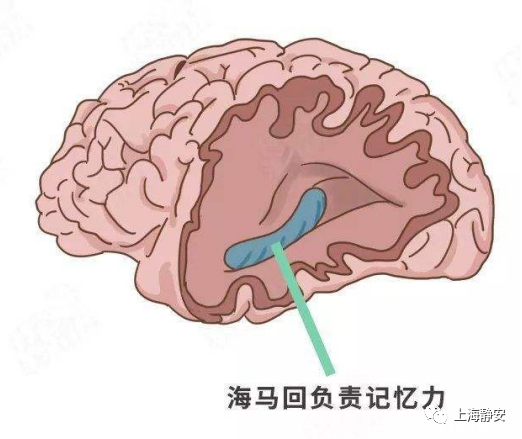 想提高居家学习效率？这5个小技巧一定要记牢