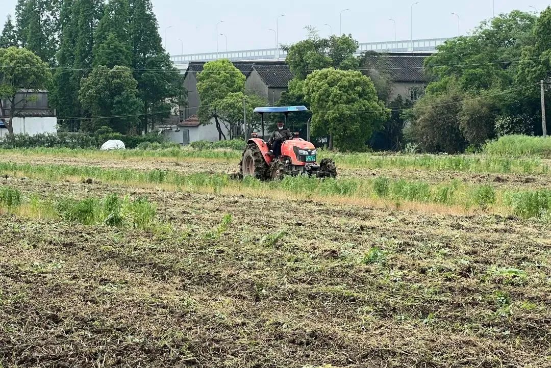 农业人员返岗备春耕，保障“米袋子”供应