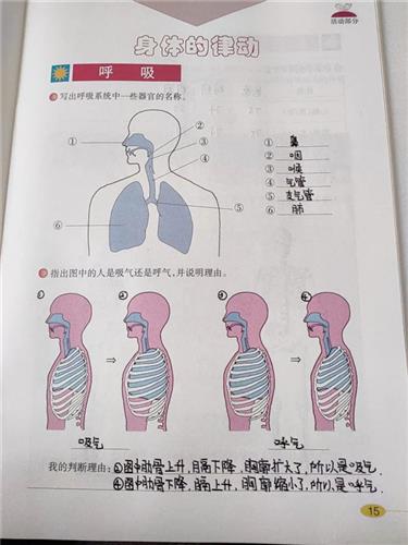 WDCM上传图片