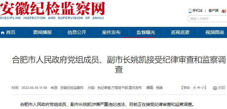 涉嫌严重违纪违法合肥市副市长姚凯被查