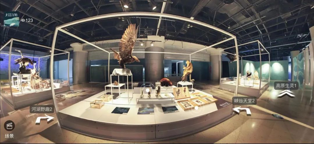 云上博物馆,解锁博物馆的力量