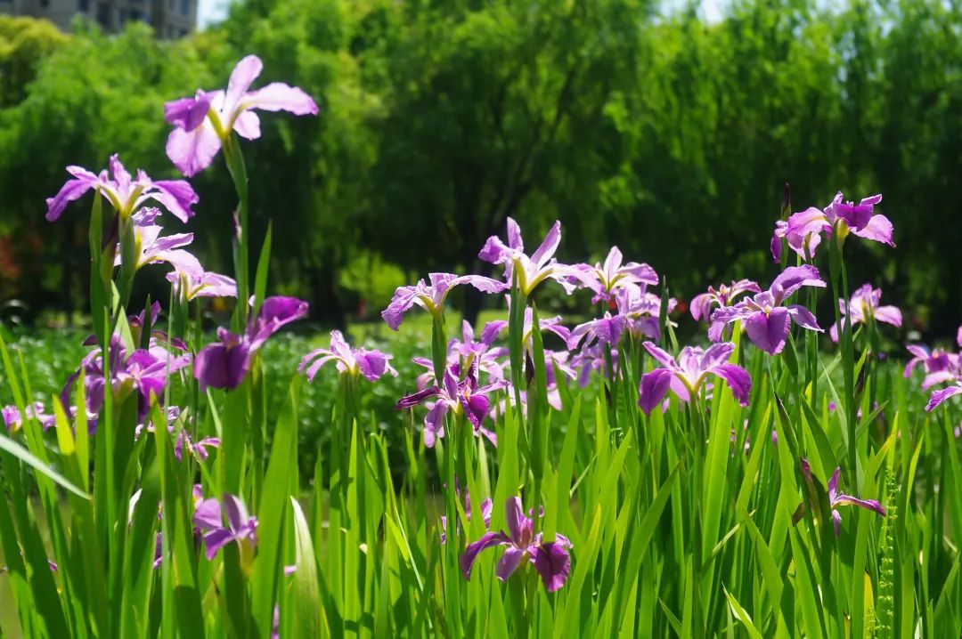 8diiobspa78mom 8diiobspa78mom