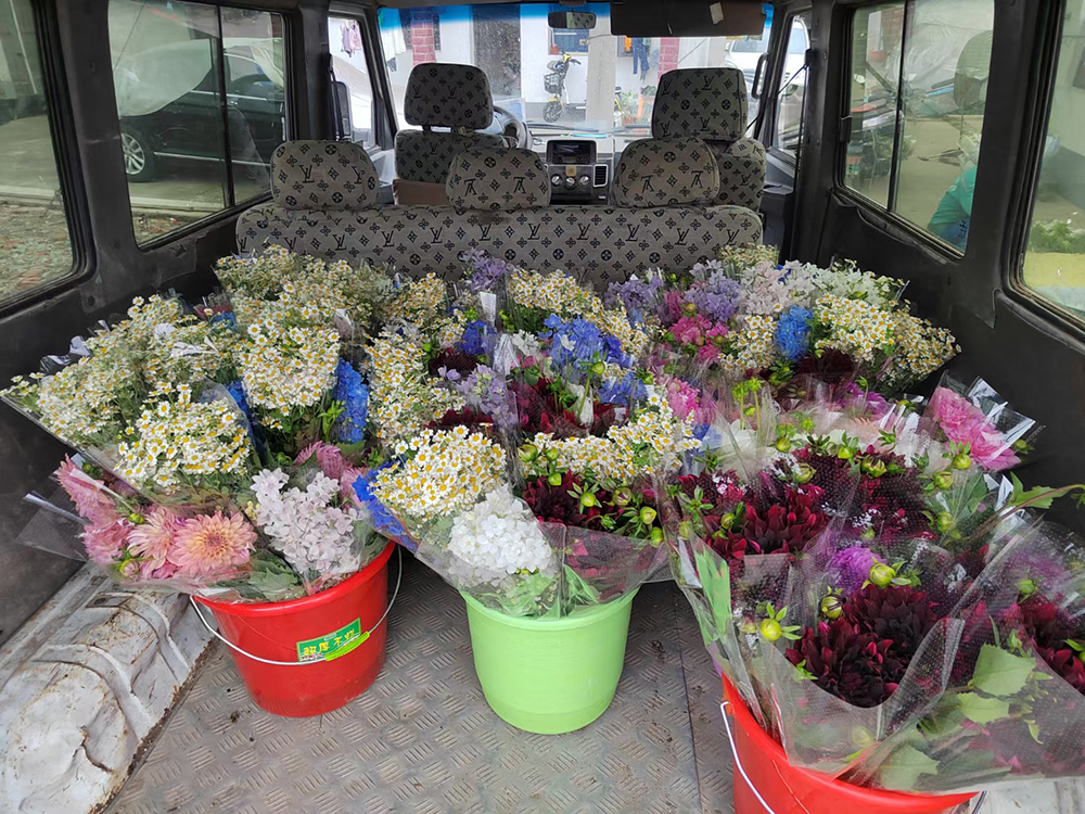 装车完成，花农准备把鲜花配送到区内各花店
