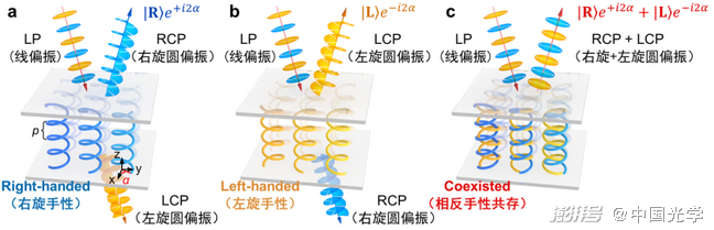 图1. 不同旋性的手性液晶及其对透反射光的调制示意图：（a）右旋手性液晶超结构，（b）左旋手性液晶超结构，（c）双手性共存液晶超结构
