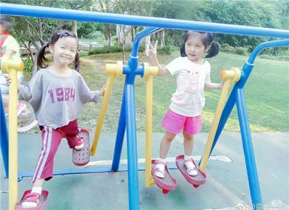 WDCM上传图片 WDCM上传图片