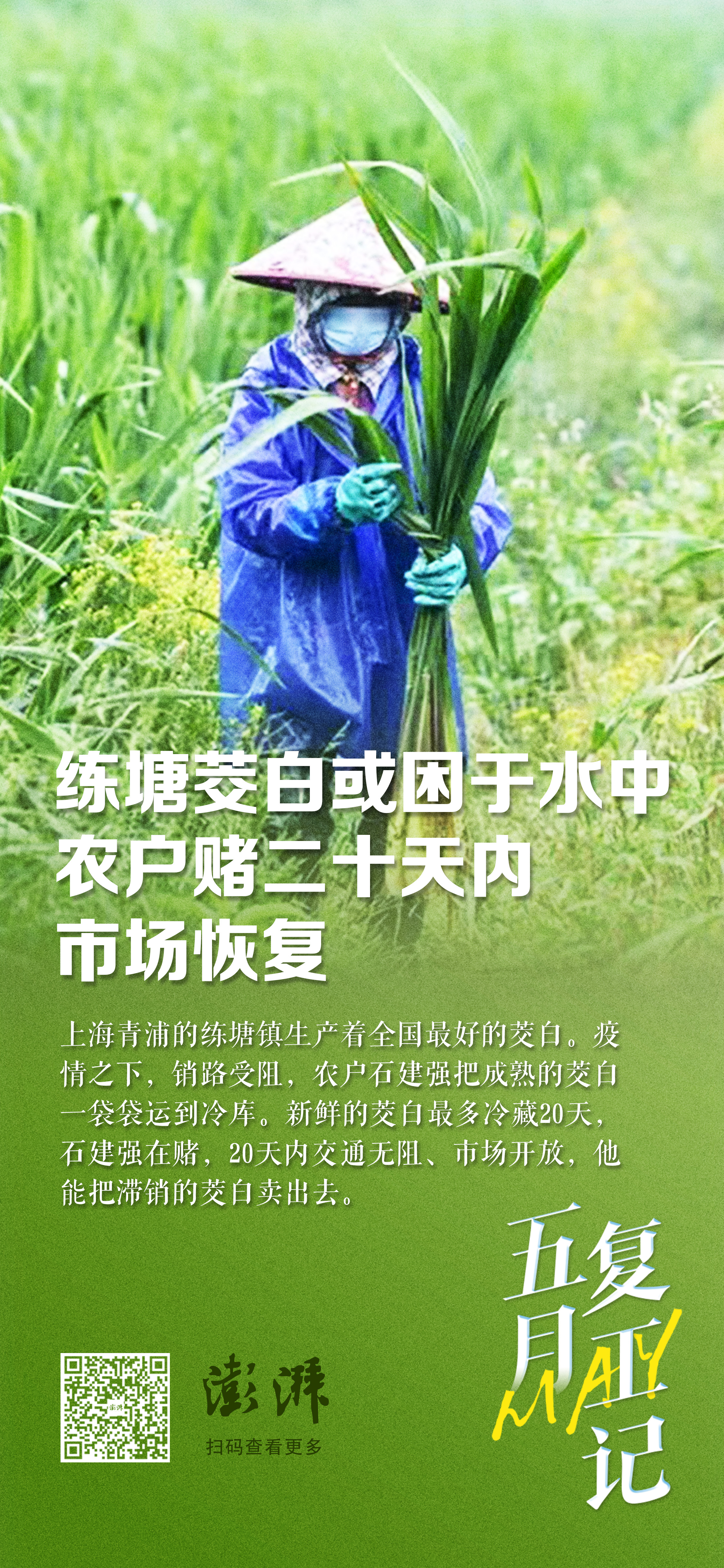 祝碧晨 设计