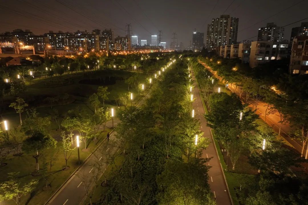 桂江路绿地夜景