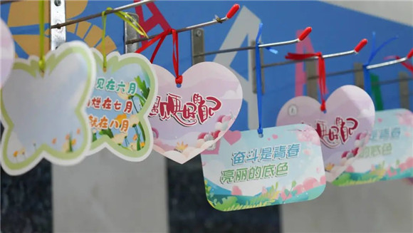 WDCM上传图片 WDCM上传图片