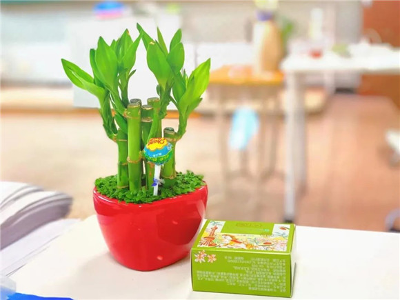 WDCM上传图片 WDCM上传图片