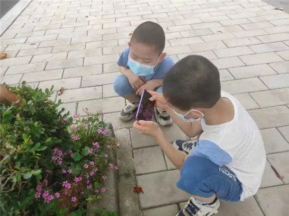 WDCM上传图片 WDCM上传图片