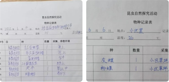 WDCM上传图片 WDCM上传图片