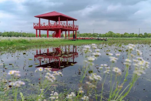 相遇 嘉北 一小步就能拥有绿野仙踪 相遇 嘉北 一小步就能拥有绿野仙踪