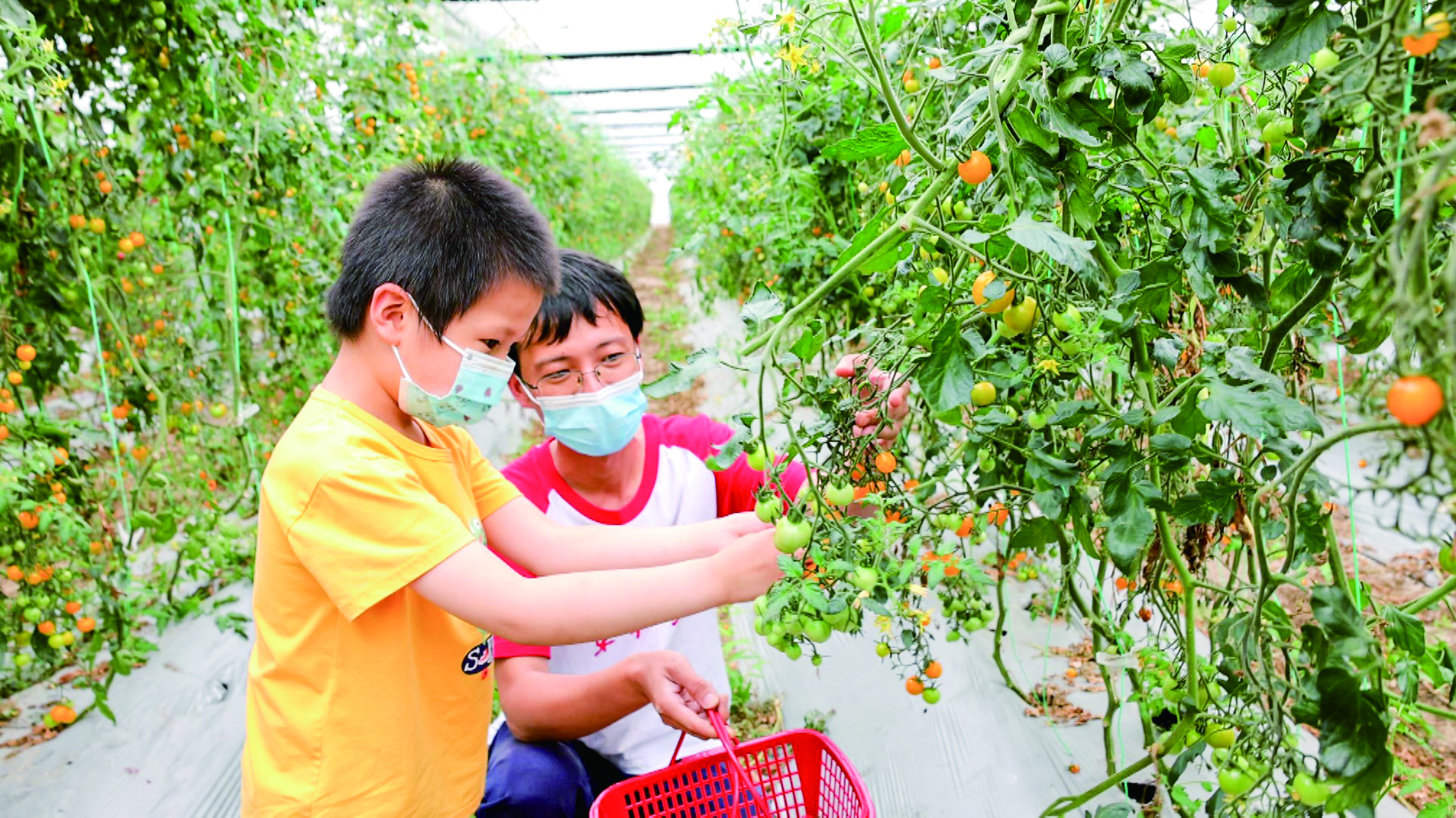 来广富林郊野公园采摘垂钓哈哈农场同步开放预约