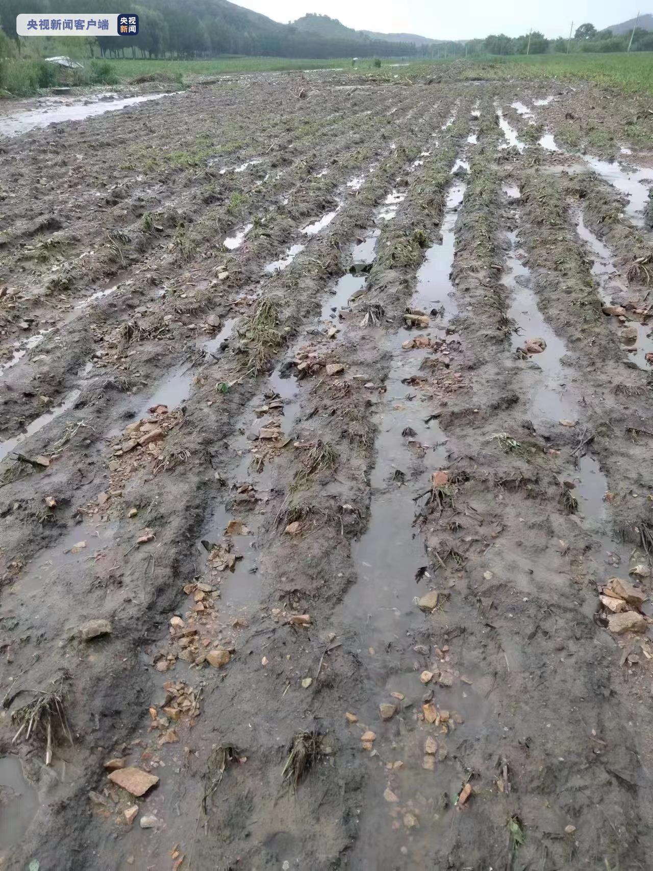 《【杏耀时时彩登陆】辽宁强降雨致417公顷农作物受灾，12座水库正在泄洪》