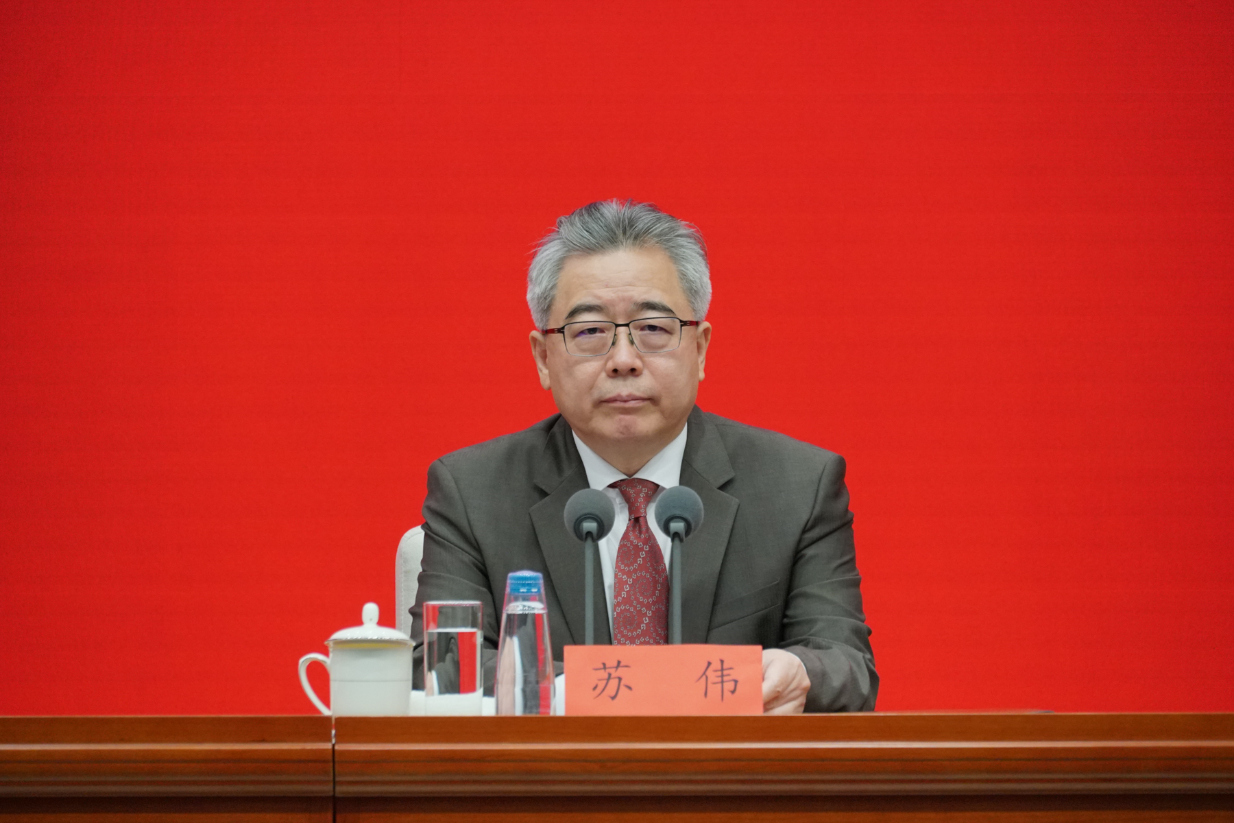 国家发展改革委副秘书长苏伟澎湃新闻记者 周頔 摄