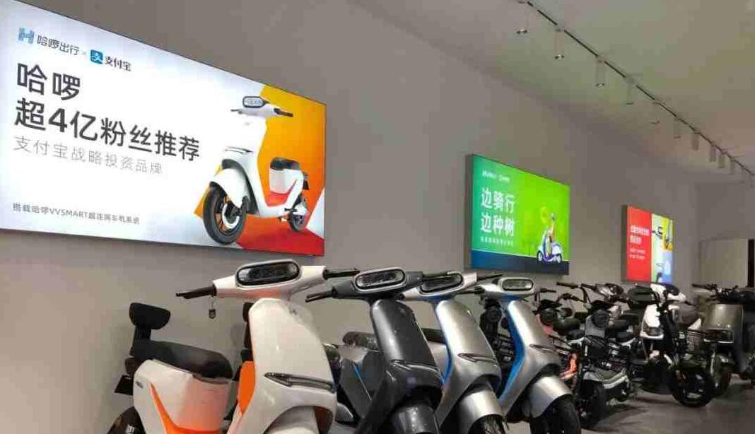 点击查看大图