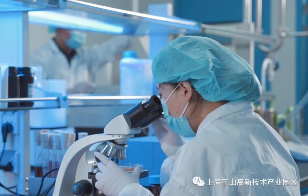 人工智能+生物医药，宝山这家企业采用国际领先技术培育高端产品插图2