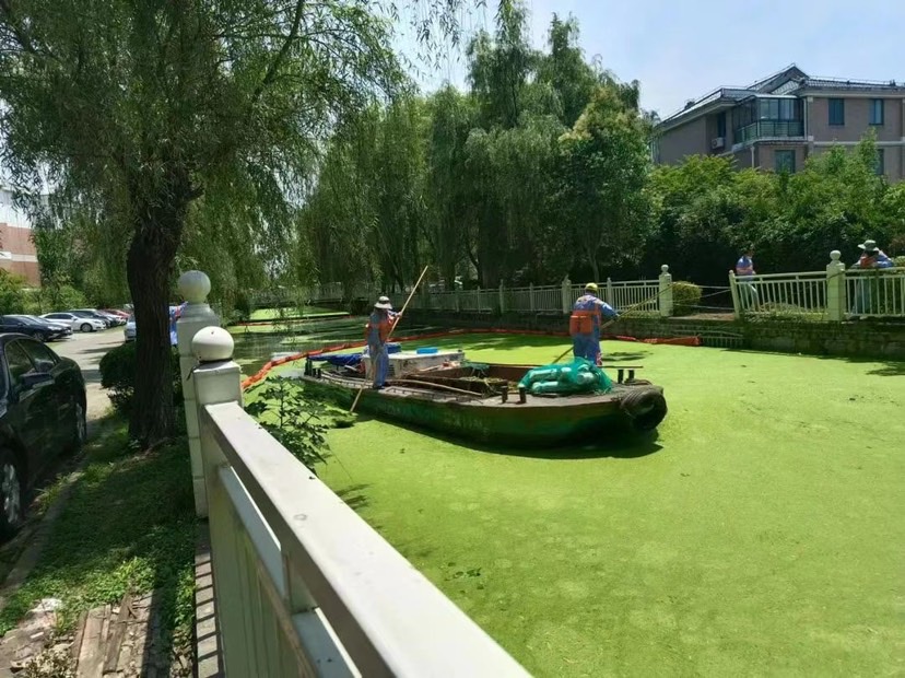 松江集中治理河道水生植物 26条河道一周共打捞116吨插图1