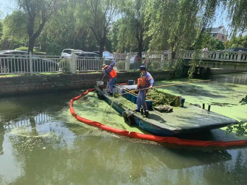 松江集中治理河道水生植物 26条河道一周共打捞116吨-万博·体育(ManBetX)
