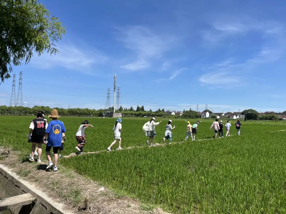 少年暑期乡村一日行！体验传统文化，享受田间之乐-ROR·体育(中国)