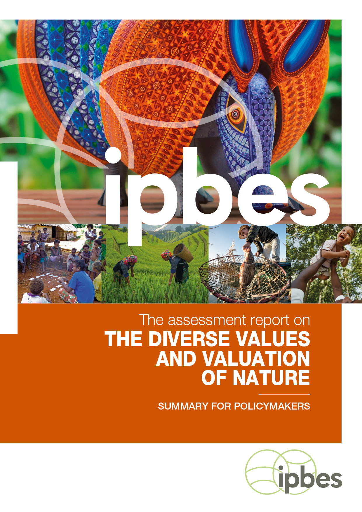 WWF呼吁各国政府积极回应IPBES自然价值评估报告建议-