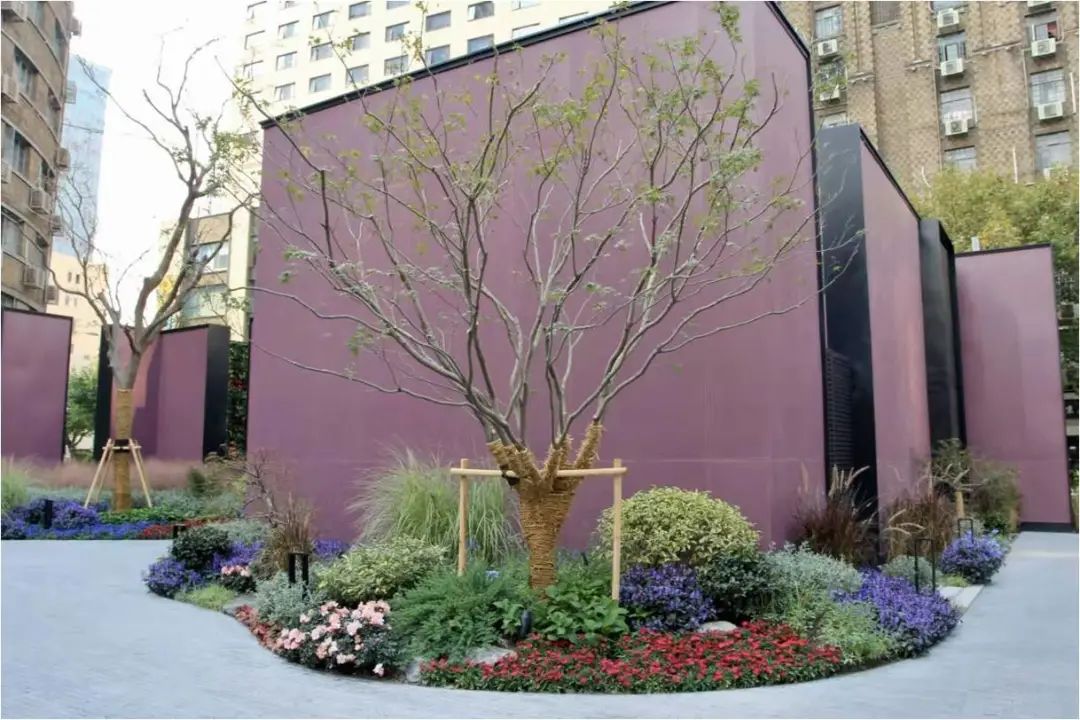 静安区口袋公园建设初见成效 “音花园”缘何被评为“沪上最美街心花园“？插图2