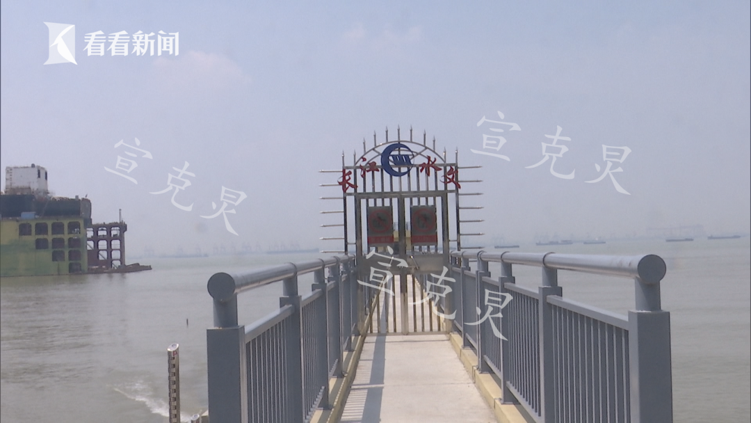 ​上海一家三口在长兴岛码头游玩时落水，均不幸身亡-
