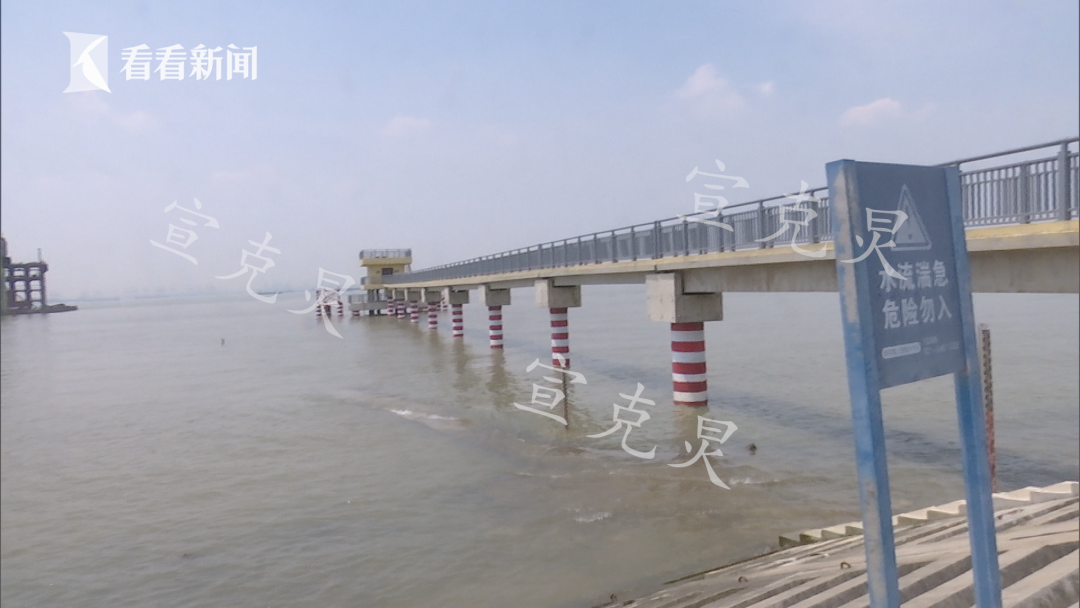 ​上海一家三口在长兴岛码头游玩时落水，均不幸身亡-