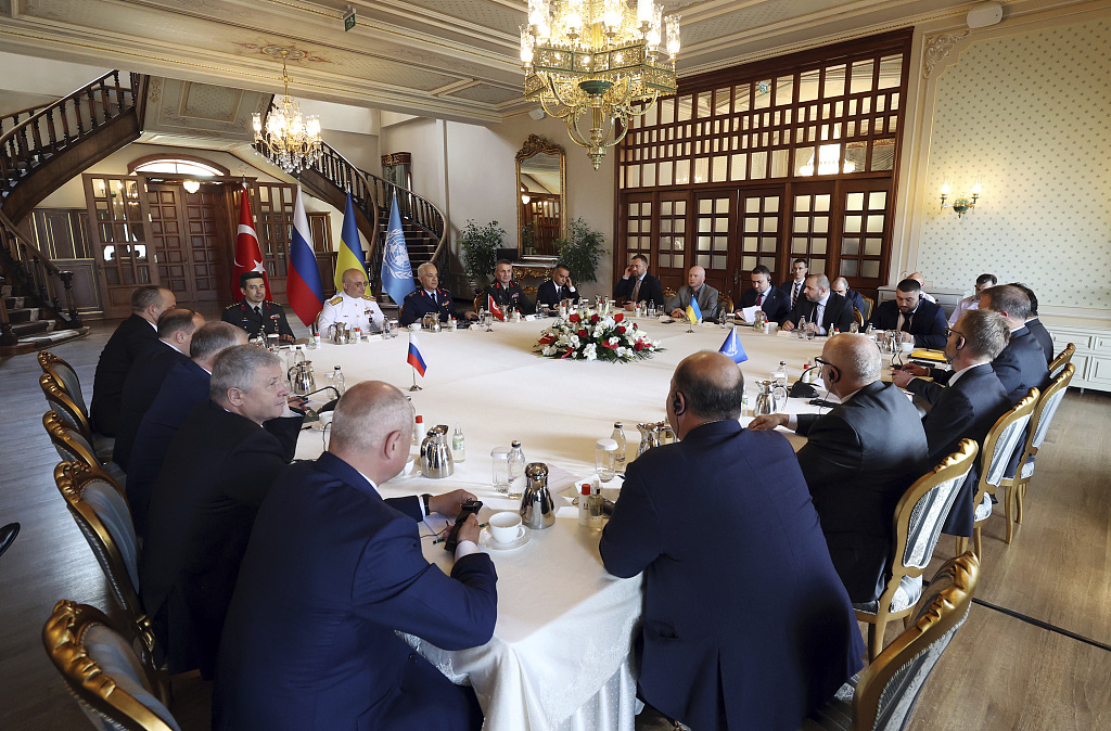 《乌克兰粮食出口协议有望下周签署，和平进程仍有“漫漫长路”》