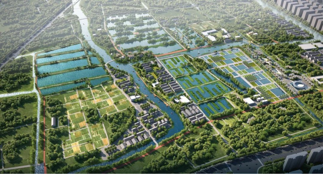 快来投票！最受百姓喜爱的青浦新城绿环概念规划方案评选→-ROR·体育(中国)