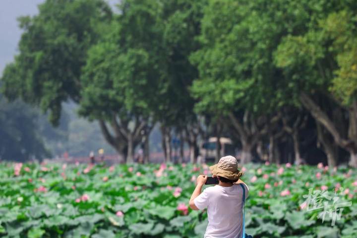 记者 夏阳摄