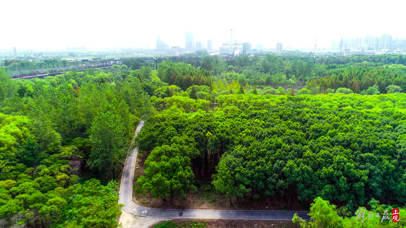 绥德公园改造工程启动建设，上海年底将建成7座环城公园插图8
