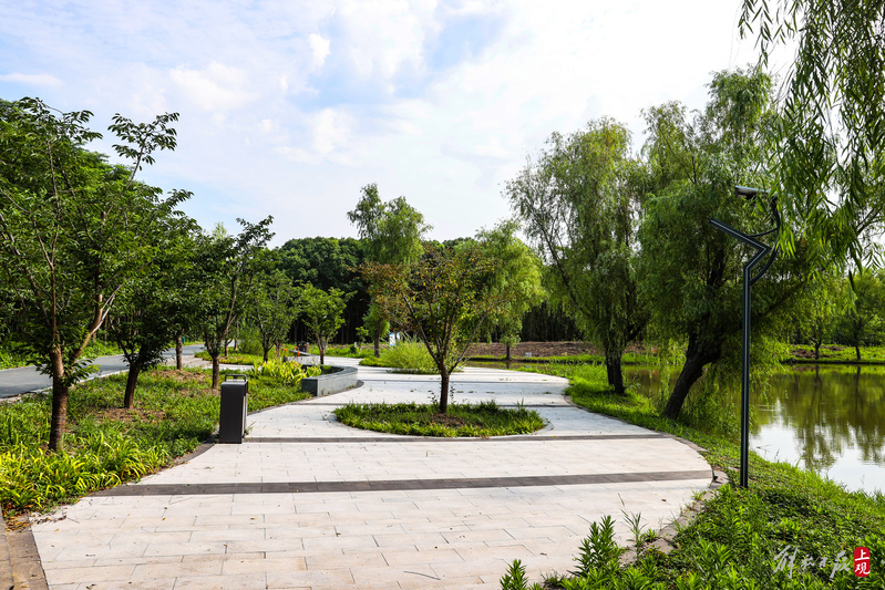 《绥德公园改造工程启动建设，上海年底将建成7座环城公园》