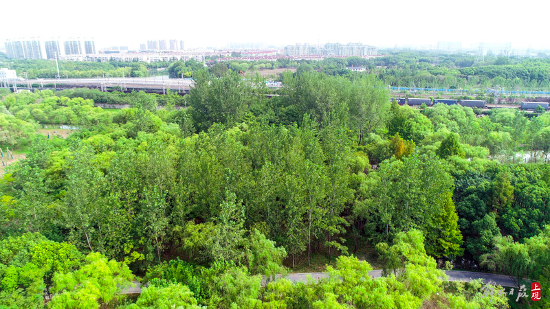 绥德公园改造工程启动建设，上海年底将建成7座环城公园-ROR·体育(中国)
