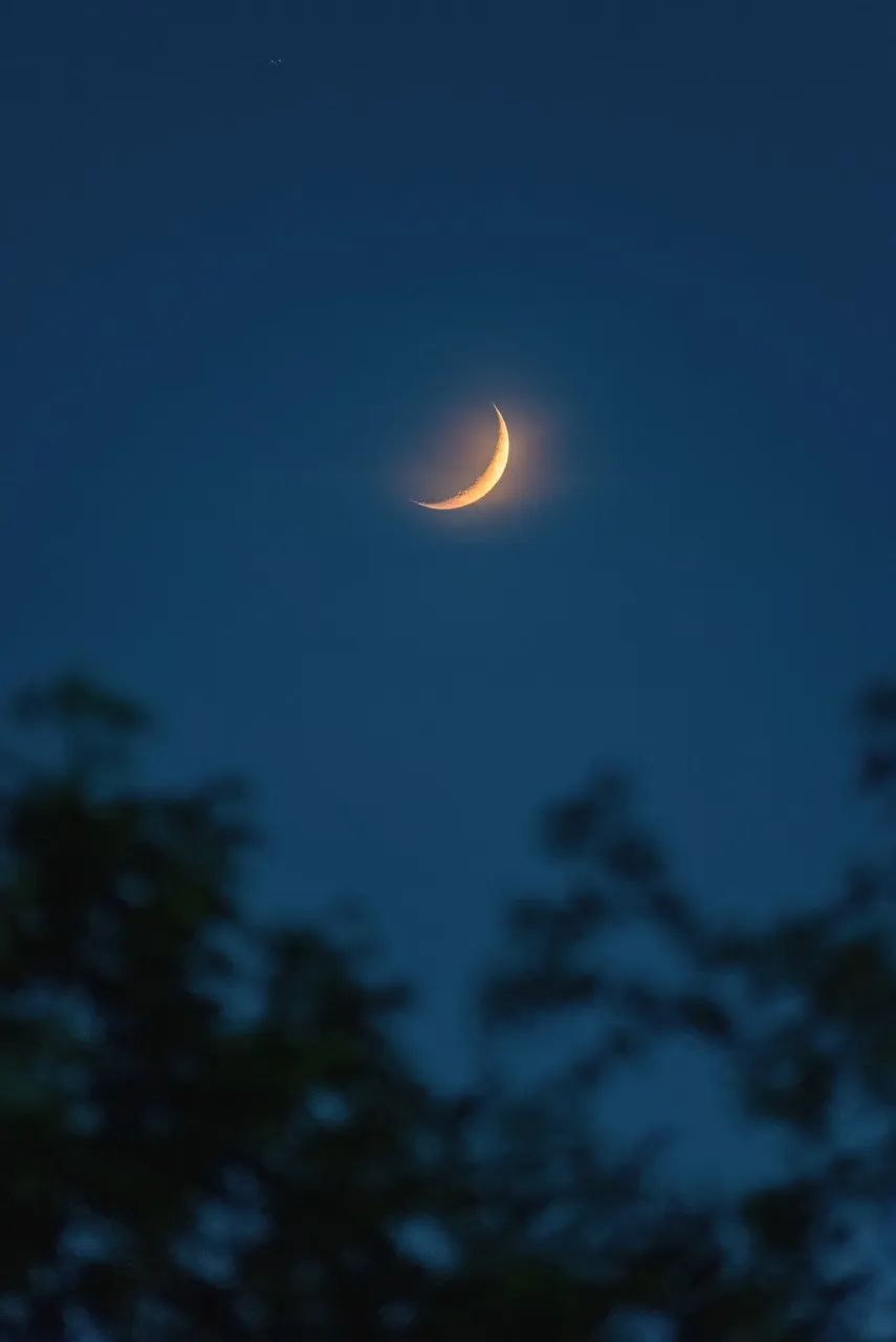 可憐九月初三夜,露似真珠月似弓.