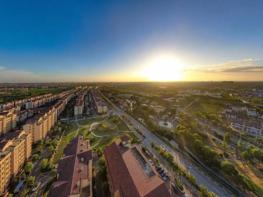 奉城镇党委书记潘军拥抱新片区奋斗新开局奋力建设新时代未来心城